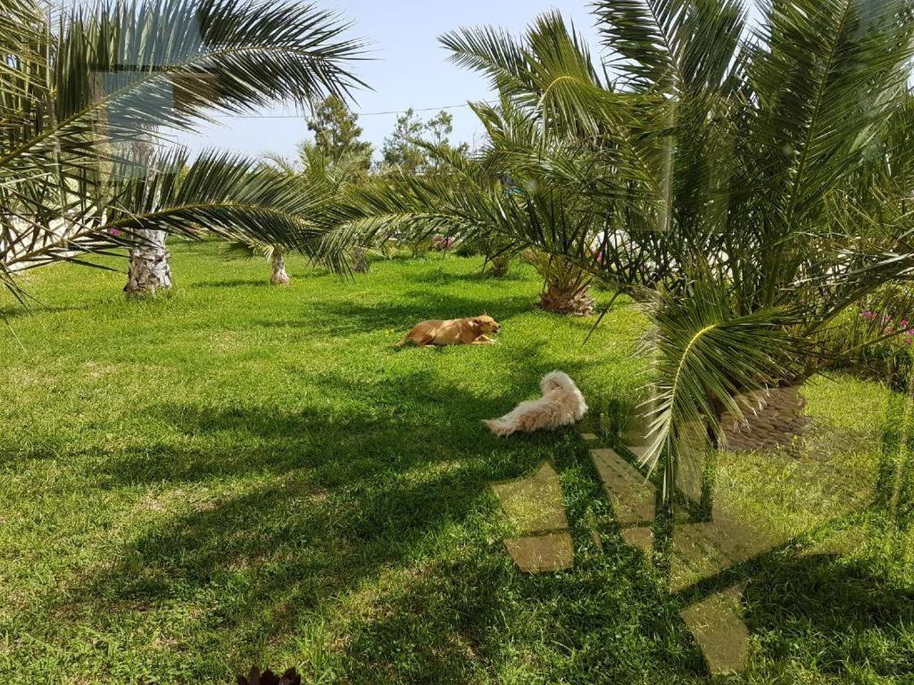 Les Jardins De Mogador Yoga Et Spa Essaouira Exterior foto