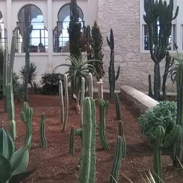 Les Jardins De Mogador Yoga Et Spa Essaouira Exterior foto